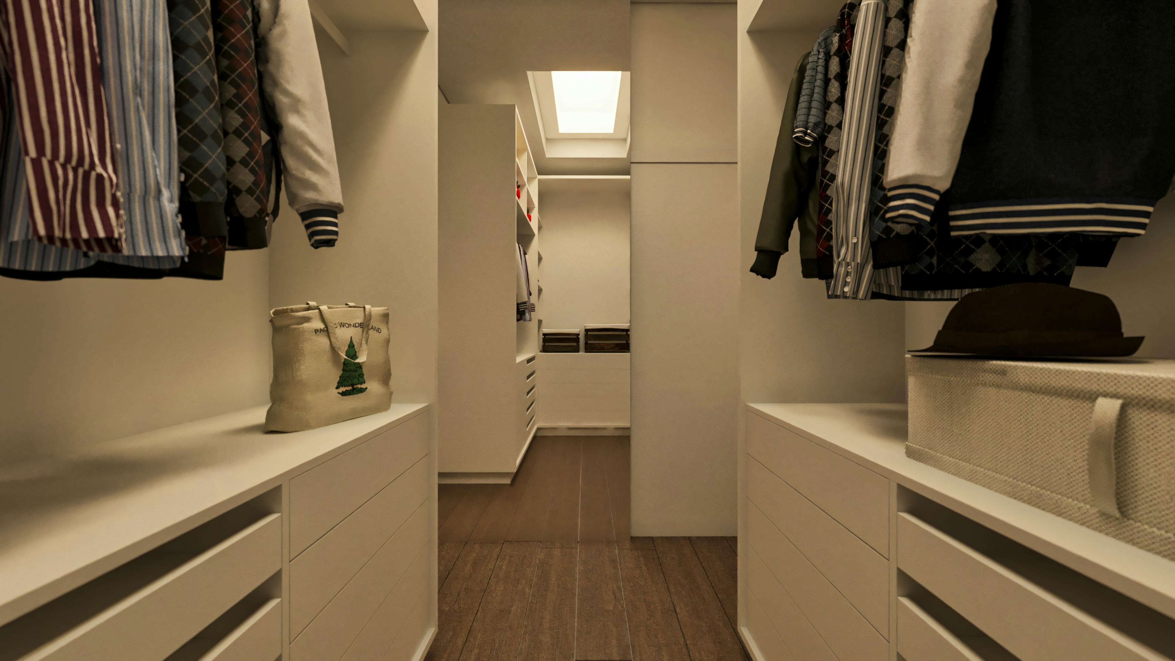 Closet with mirror.