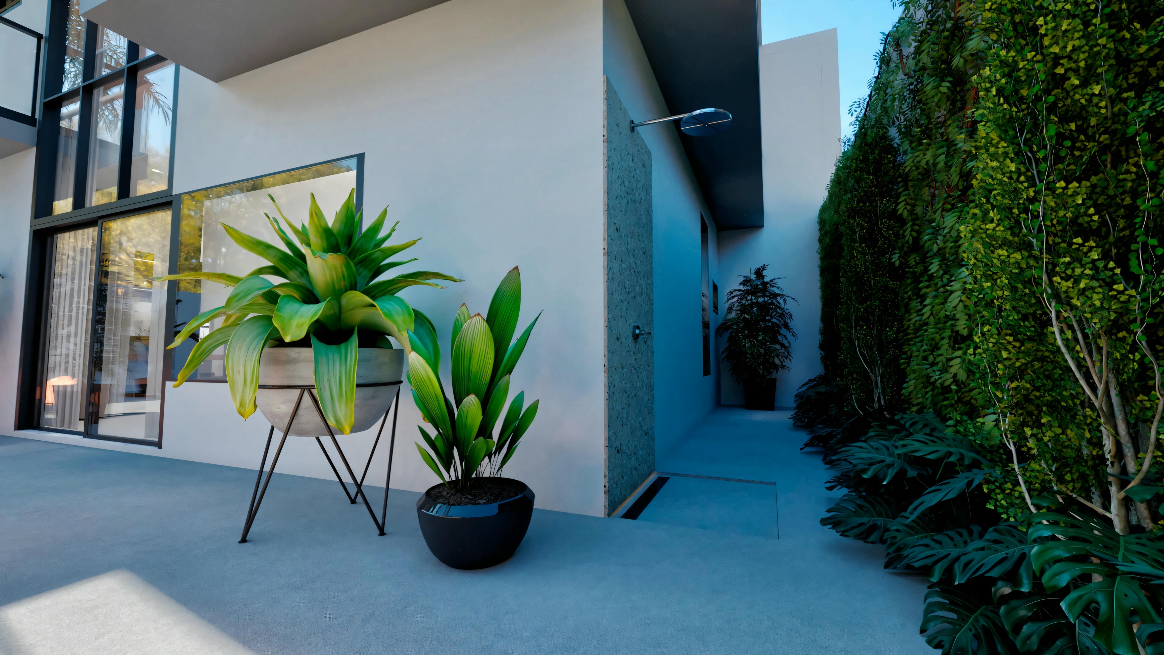 Entrada de uma casa moderna com grandes janelas de vidro e portas, e uma planta em vaso em primeiro plano.