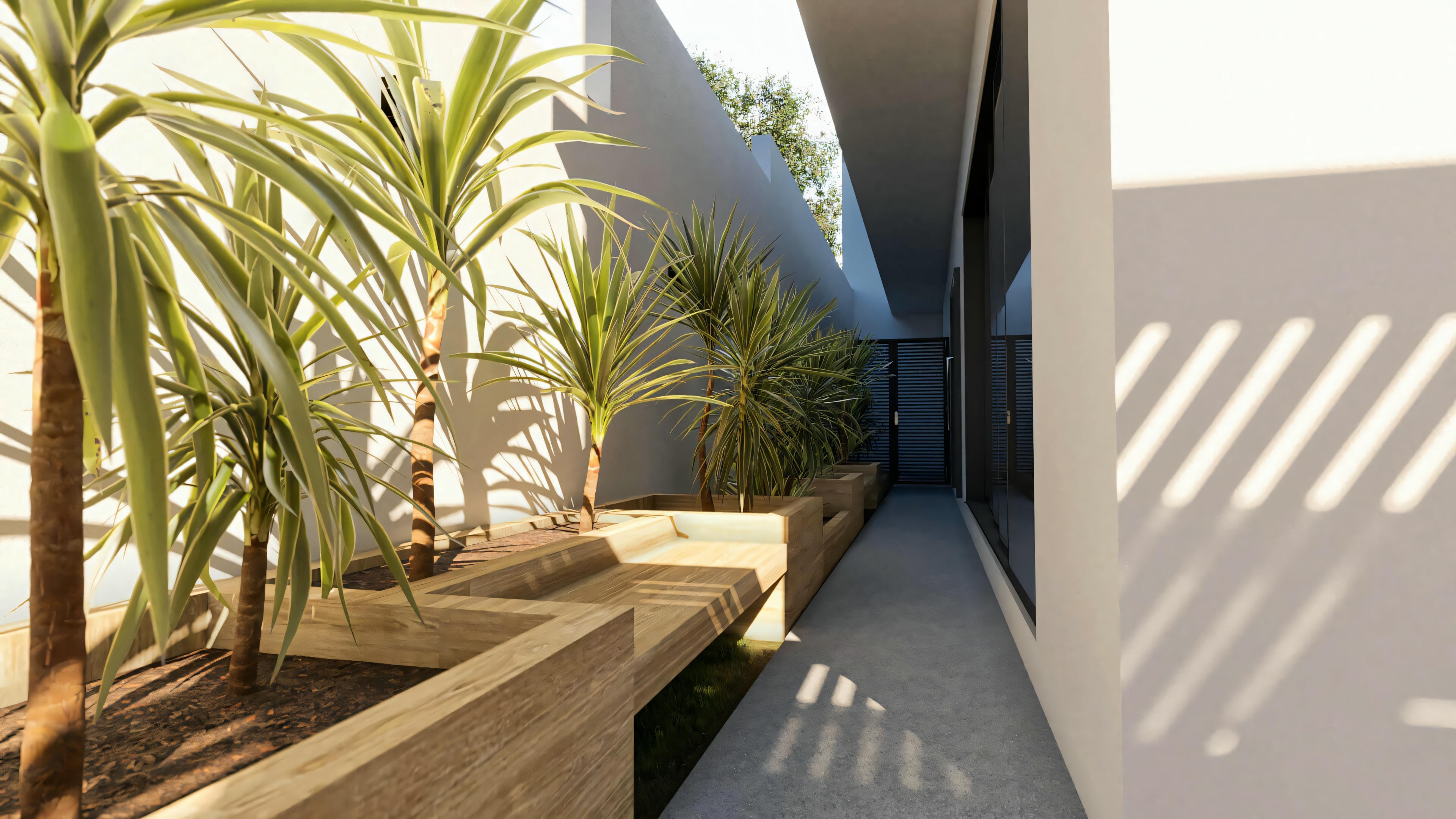 Corredor lateral ajardinado do projeto pronto de 5 suítes, com piso texturizado, canteiros elevados em alvenaria clara contendo plantas (dracenas) e muro alto branco.
