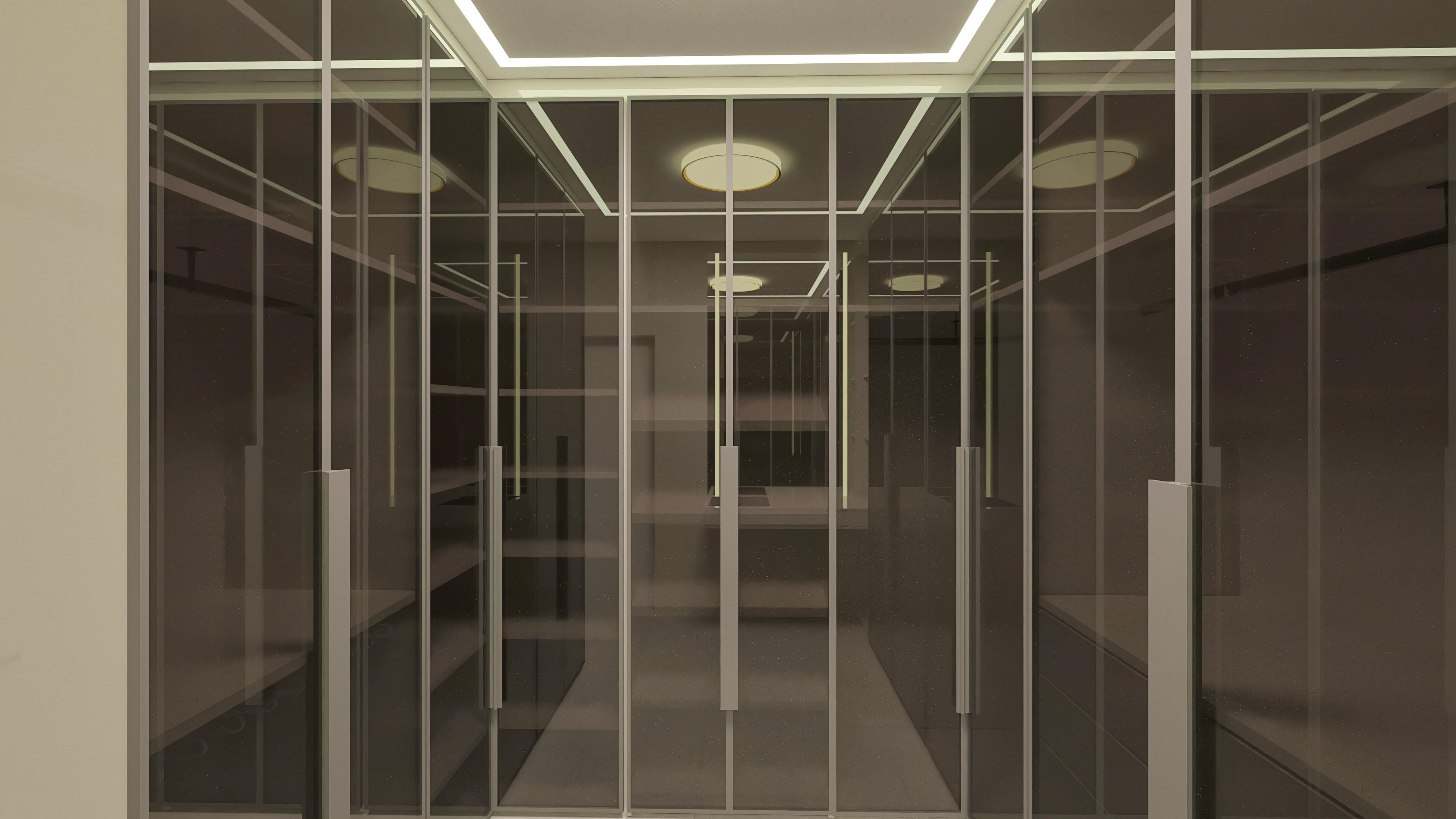 Interior of a large closet with custom glass cabinets and built-in LED lighting, offering a modern and sophisticated look.