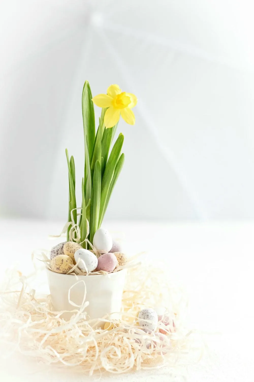 Jarrón blanco con una flor amarilla y huevos de Pascua decorativos en la base, rodeado de paja, en un ambiente claro.