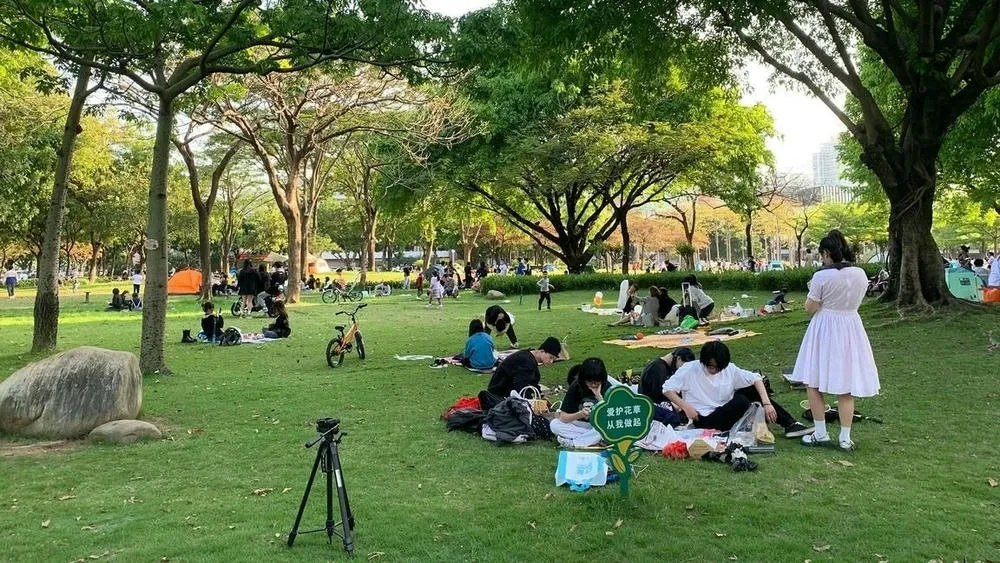 Personas relajándose y haciendo picnic en un césped con árboles, ilustrando espacios comunitarios y el concepto de slow living.