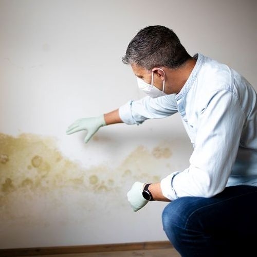 Imagen de una pared con signos de humedad y moho, ilustrando problemas de infiltración en residencias.
