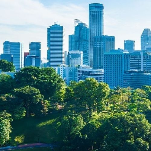 Falso verde: el greenwashing en la arquitectura sostenible