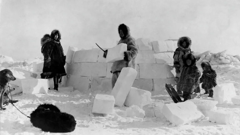 Black and white photo of a group of Inuits building an igloo with ice blocks, next to dogs.