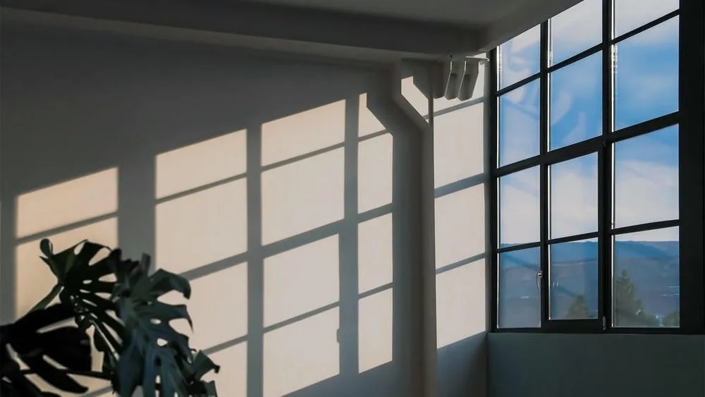 Ambiente interior con gran ventana de carpintería negra, por donde entra abundante luz solar que proyecta sombras geométricas en la pared blanca. Una planta en primer plano refuerza la conexión con la naturaleza.