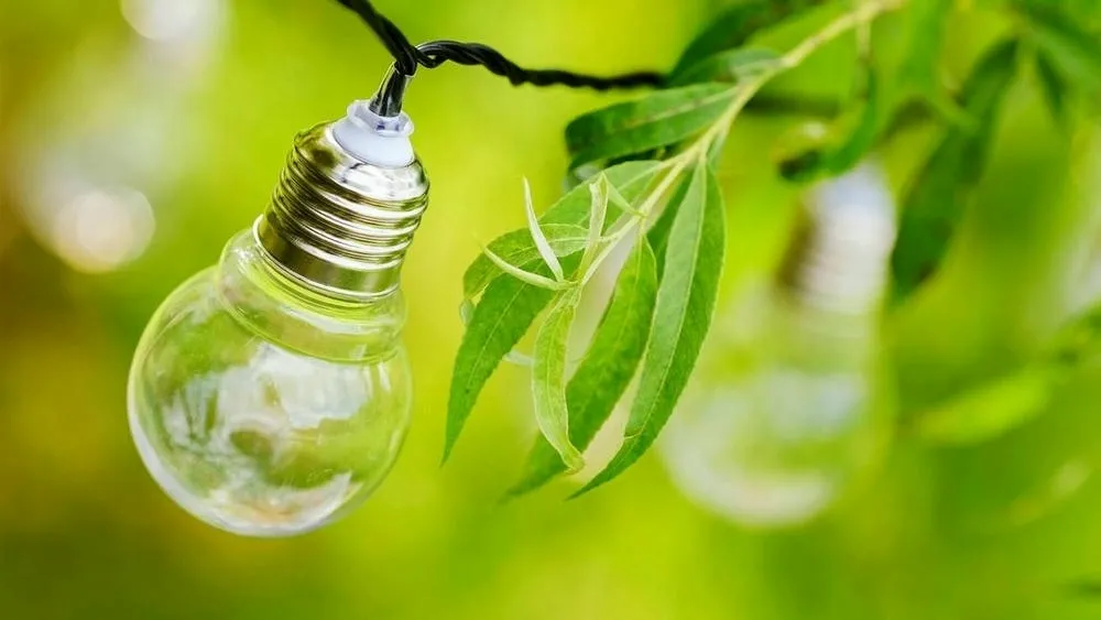 Lámparas con filamentos destacados y hojas verdes al fondo, simbolizando el ahorro de energía y la sostenibilidad en la iluminación, destacando la conexión con la naturaleza.
