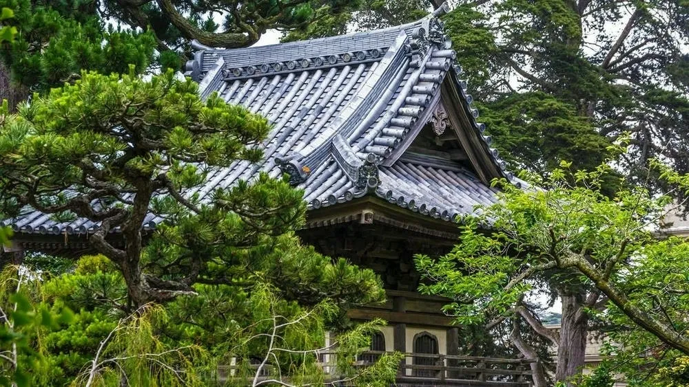 Um jardim japonês roji com musgo verde, pedras e um pequeno riacho. O ambiente é sereno e tranquilo, com foco na vegetação e na simplicidade do design.