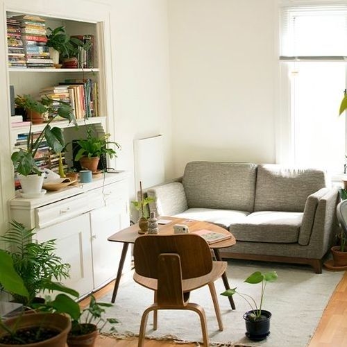 A minimalist living room with a sofa, bookshelf, table, and several plants, conveying a calm and cozy atmosphere.
