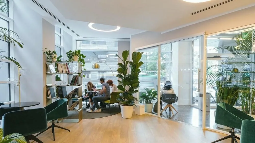 Modern office with large windows, indoor plants, and people working, creating a calm environment with plenty of natural light.