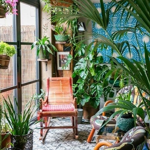 An indoor environment with many green plants in hanging and floor pots, with a rocking chair and large windows. Natural light is abundant.