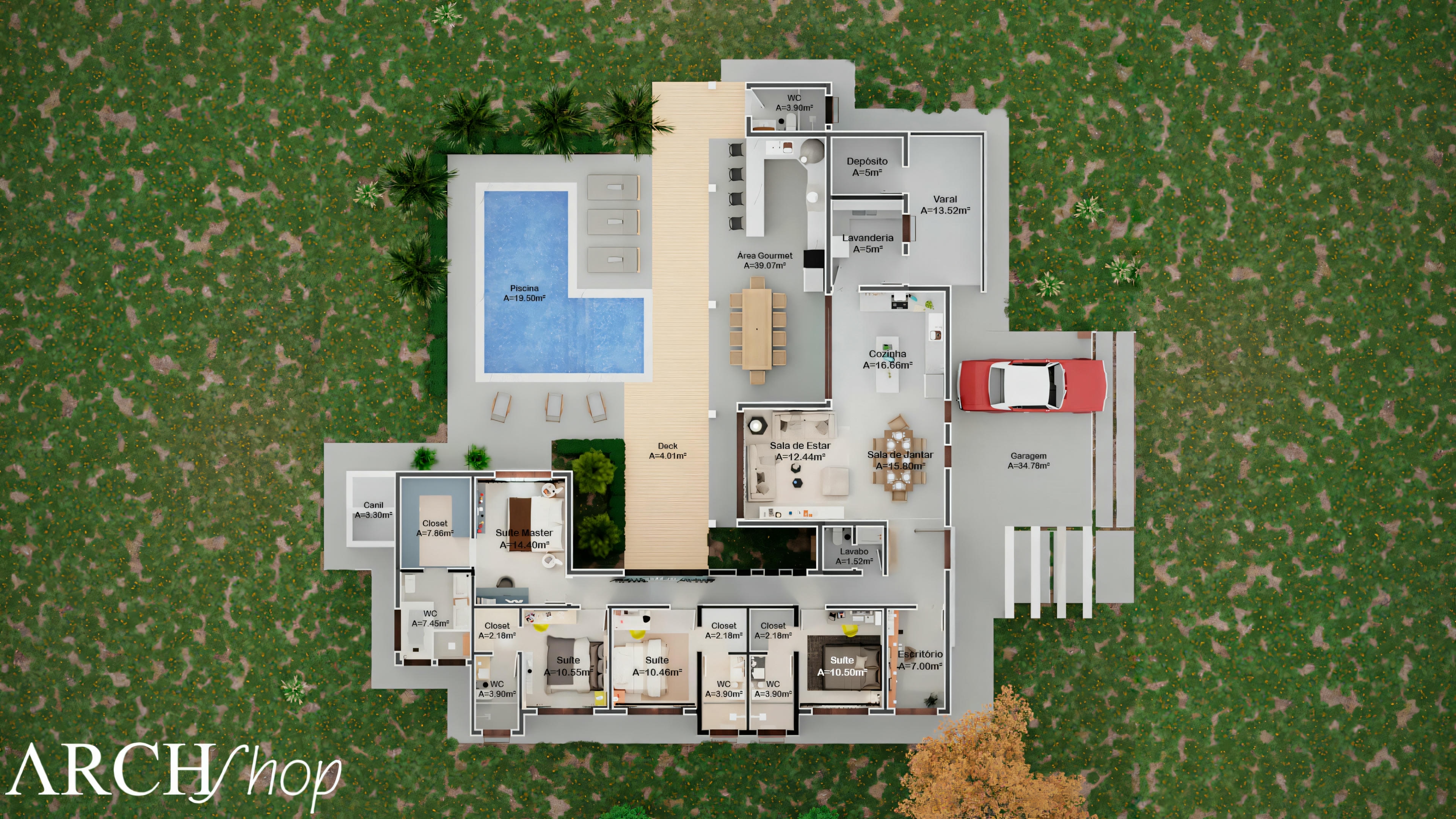Planta pronta 50x60.
