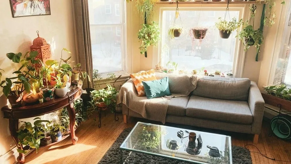 Residential living room full of plants, with abundant natural light and a cozy sofa, reflecting a more serene lifestyle.