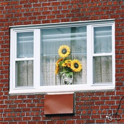 Ventana blanca moderna en una pared de ladrillos, con persianas y flores amarillas en un jarrón.